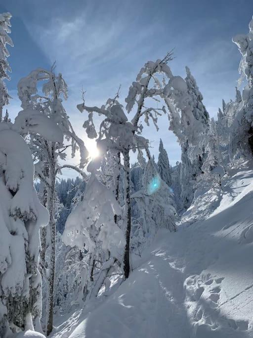 Feldberg, direkt an der Skipiste, urgemütliche Stube9 Feldberg  Exterior foto