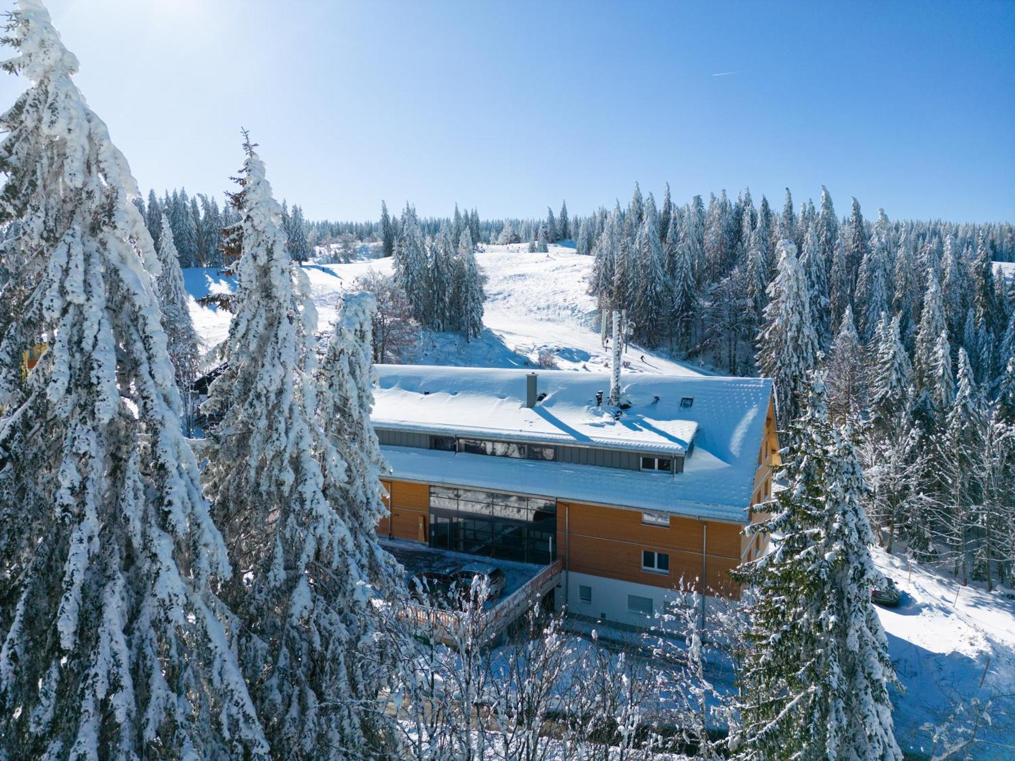 Feldberg, direkt an der Skipiste, urgemütliche Stube9 Feldberg  Exterior foto
